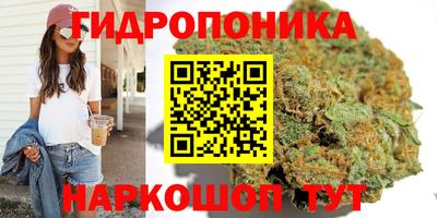 МДПВ Волгодонск