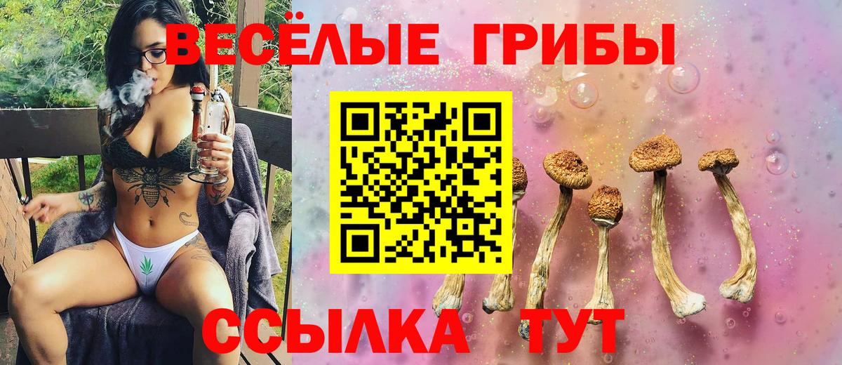 Заволжье  Псилоцибиновые грибы прущие грибы  Вход с VPN  Галлюциногенные грибы мицелий 